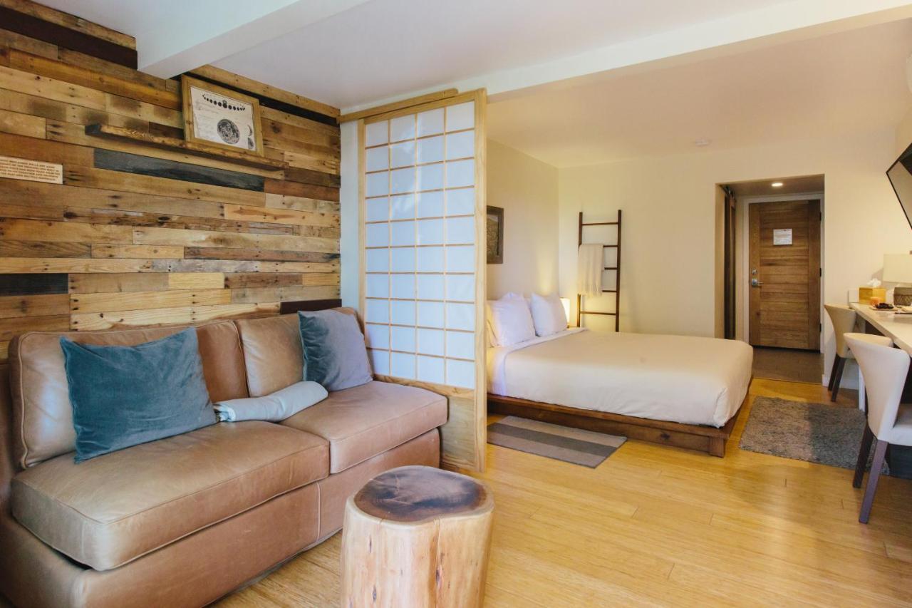 Inn At Moonlight Beach Энсинитас Экстерьер фото